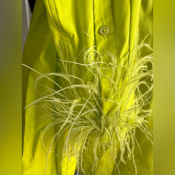 NWT J Crew Collection Feather trim Cotton poplin button up collared Shirt Top 6 - Picture 10 of 10